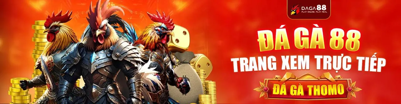 Đá gà trực tuyến xwin bet